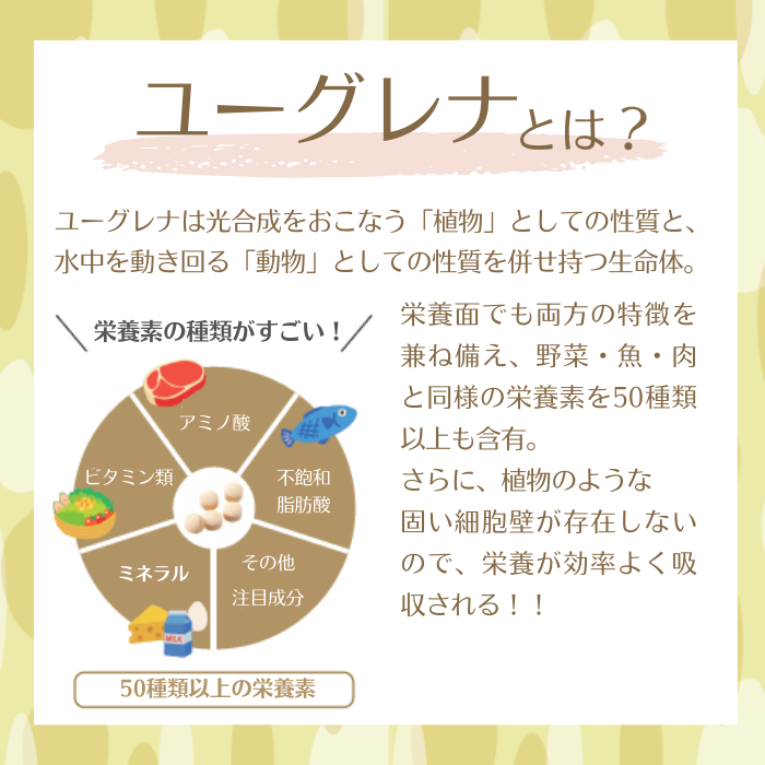 【60%オフ】白鶴 酒粕ユーグレナ 50粒入(10日分)