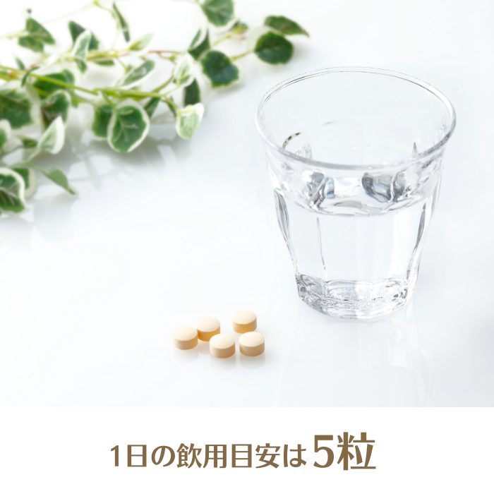 【60%オフ】白鶴　酒粕ユーグレナ　50粒入（10日分）