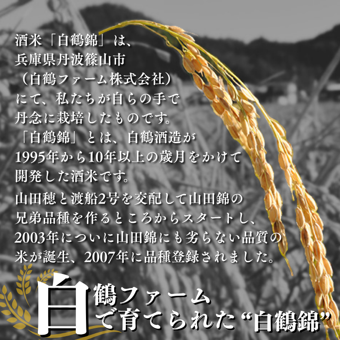 HAKUTSURU SAKE CRAFT THE PREMIUM 2026 　720ml <化粧箱入>